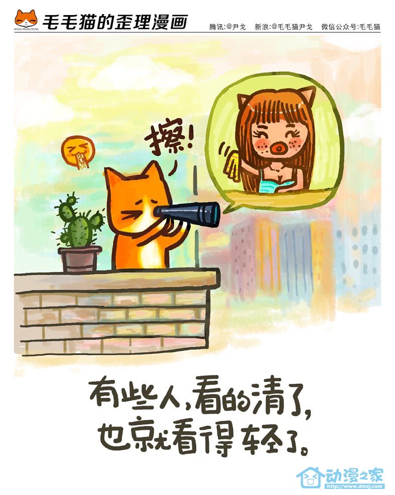 毛毛猫第1话图