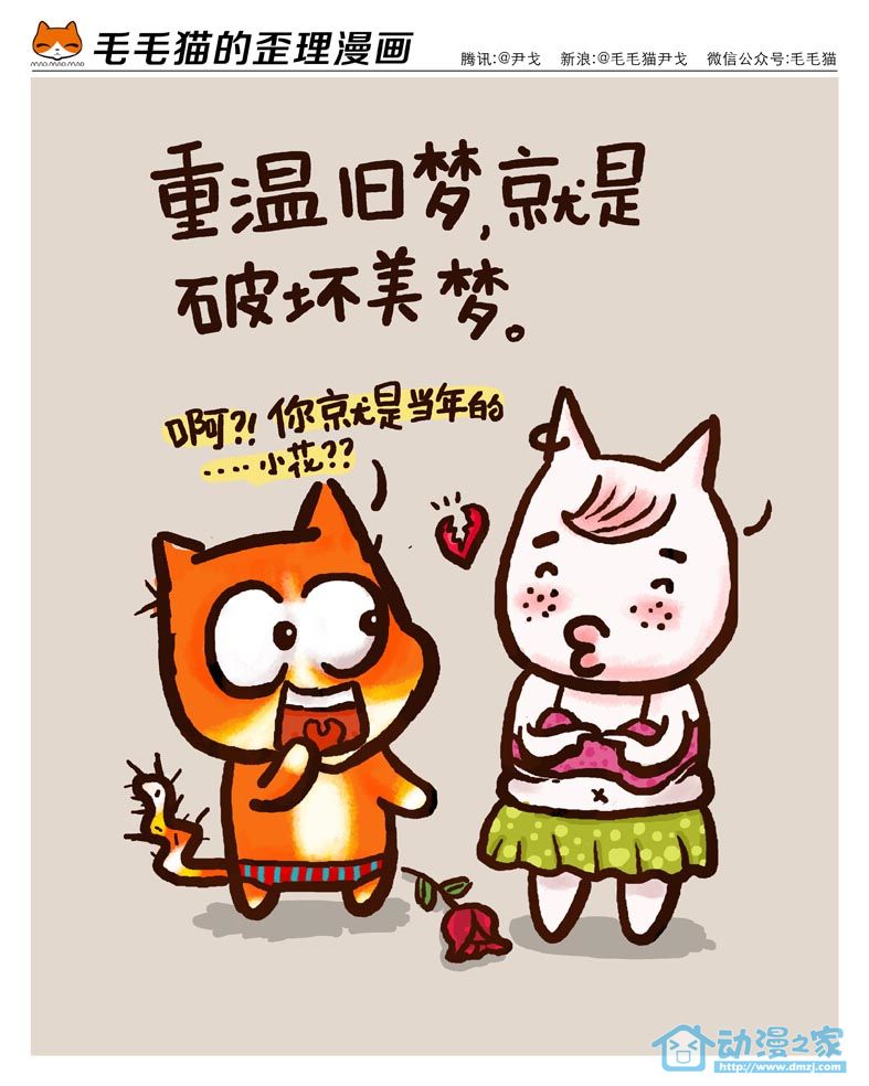 毛毛猫第12话图