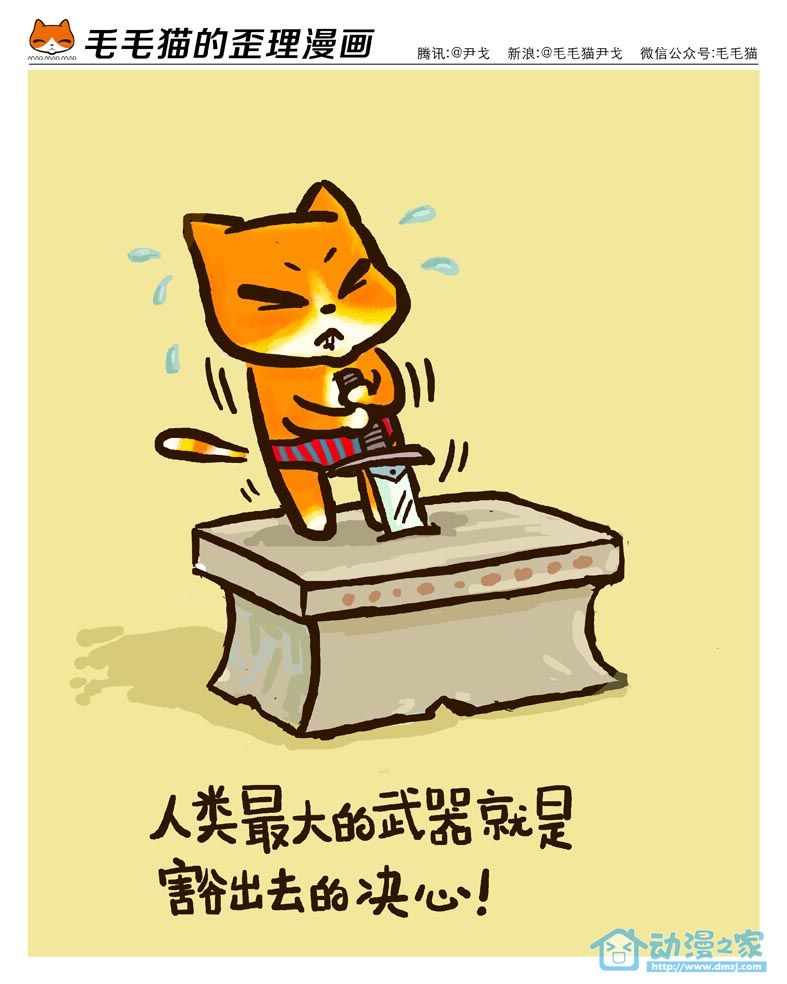 毛毛猫第3话图