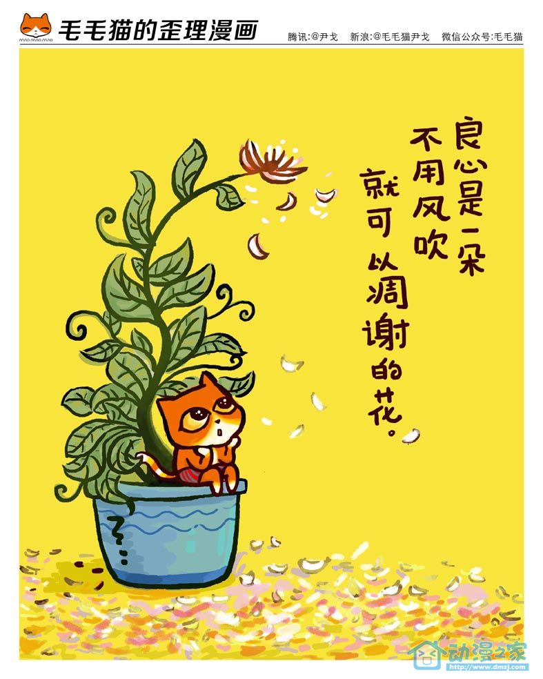 毛毛猫第6话图