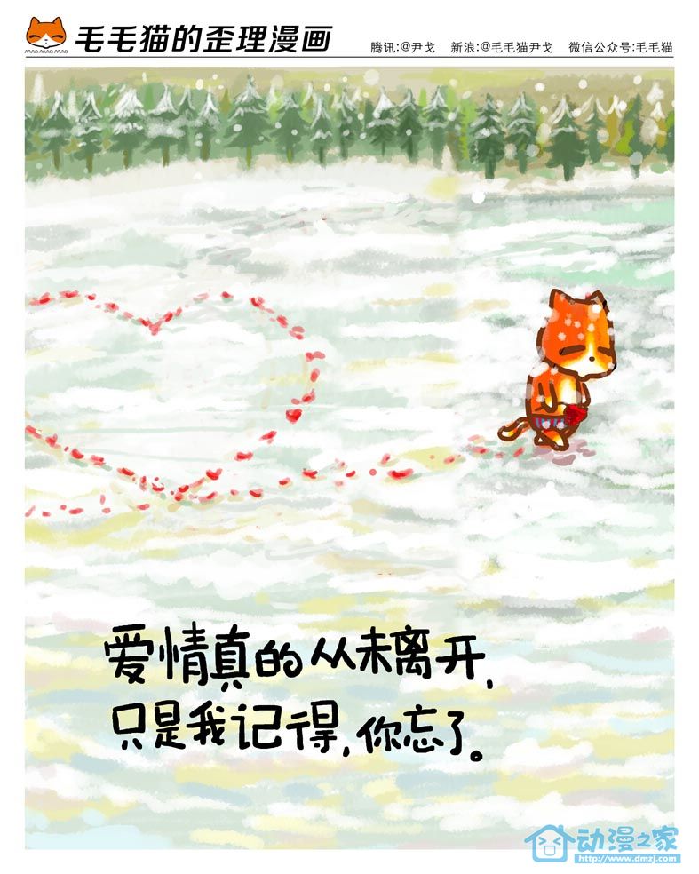 毛毛猫第9话图