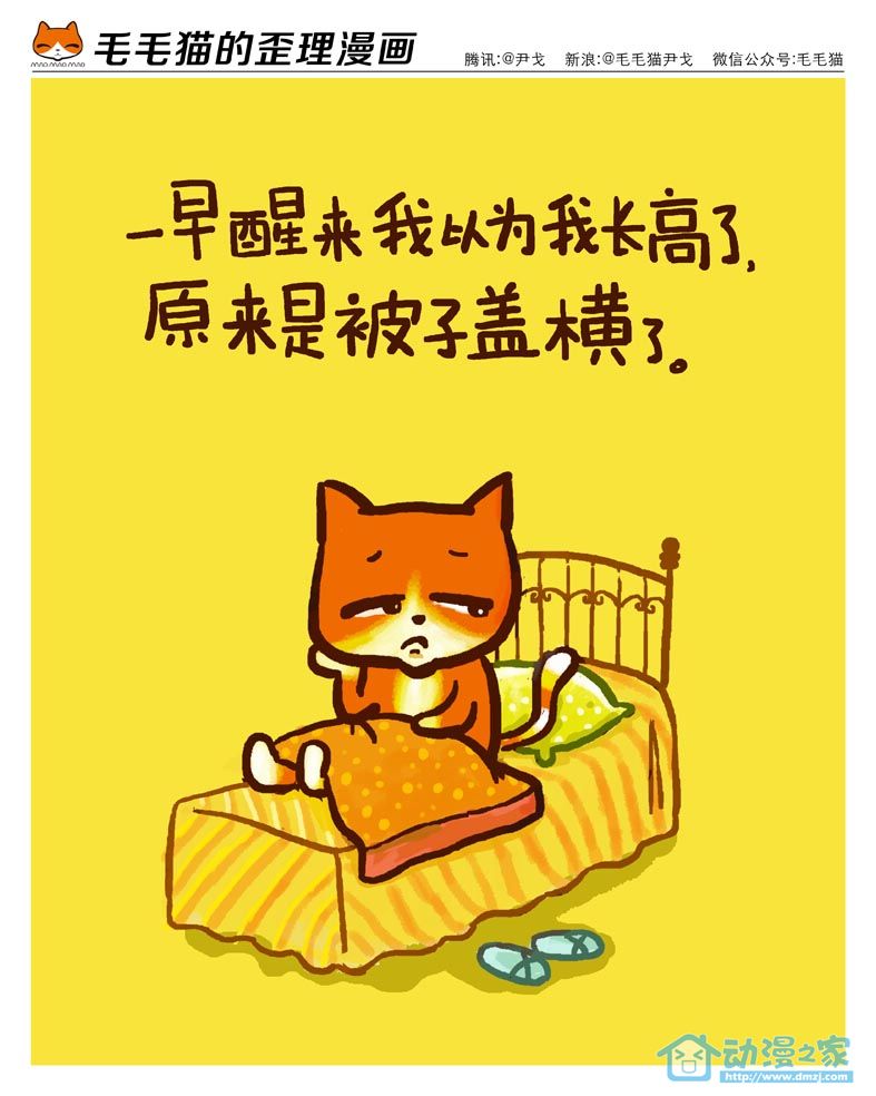 毛毛猫第9话图