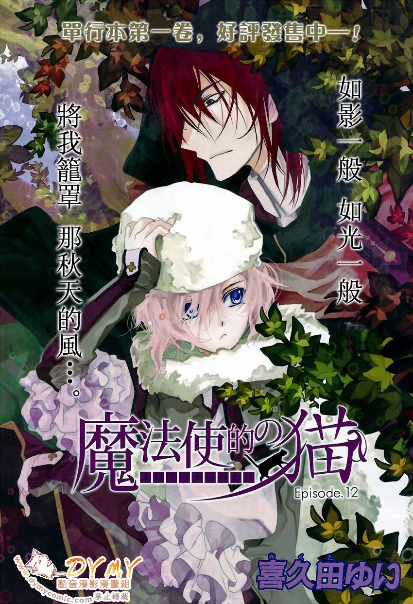 魔法使的猫第12话图