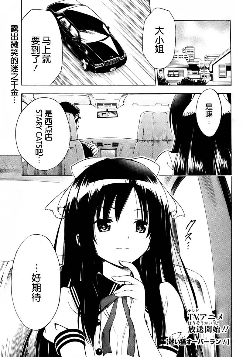 迷途猫overrun第4话图