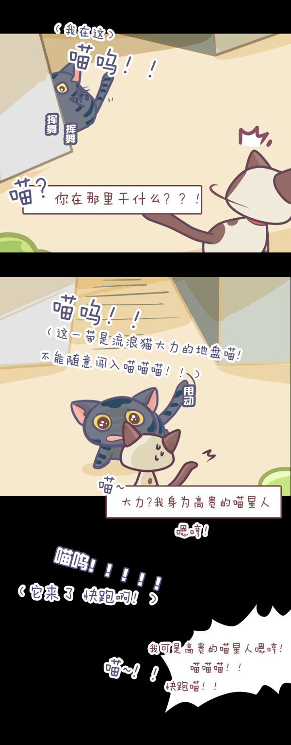 喵星人日记第5话图