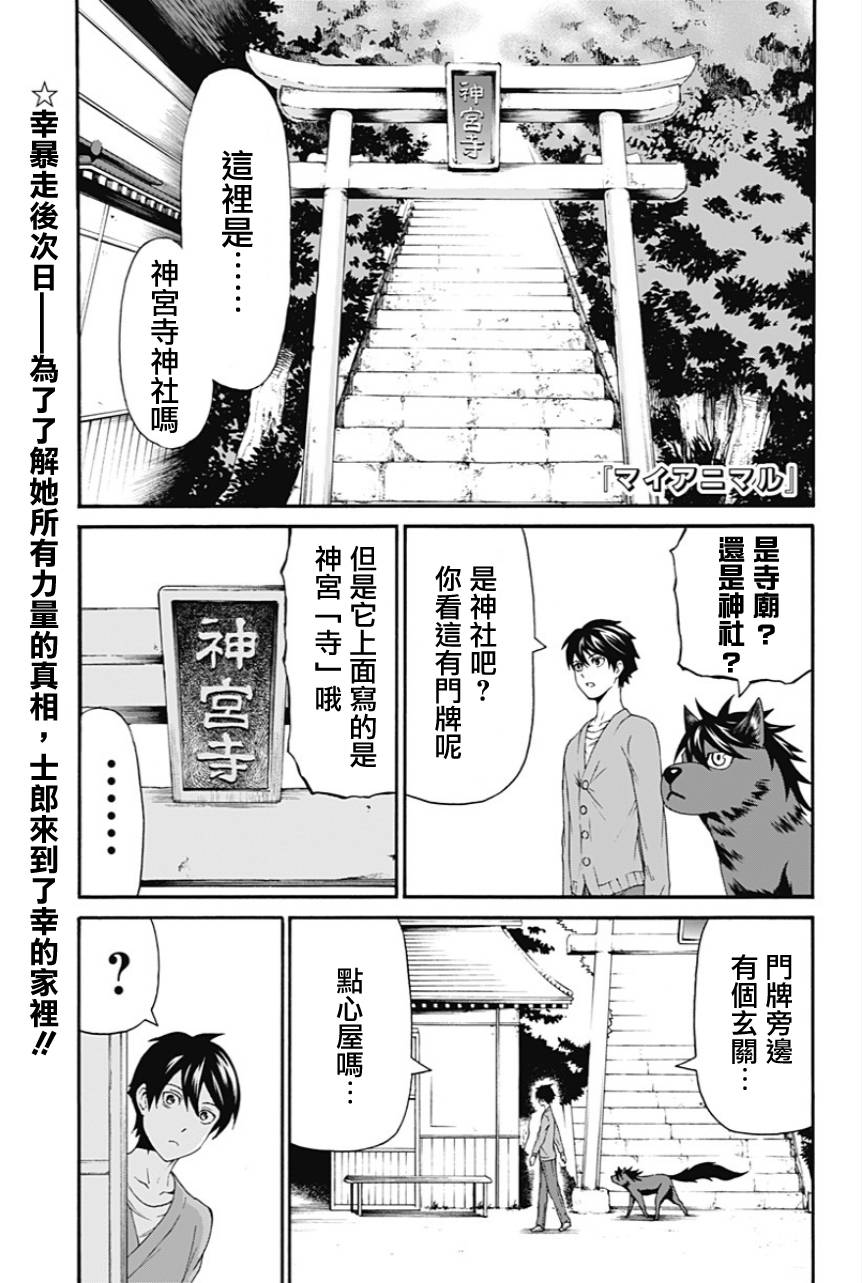 My Animal第11话图