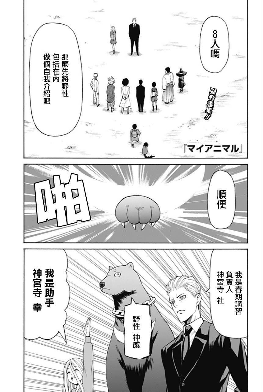 My Animal第14话图