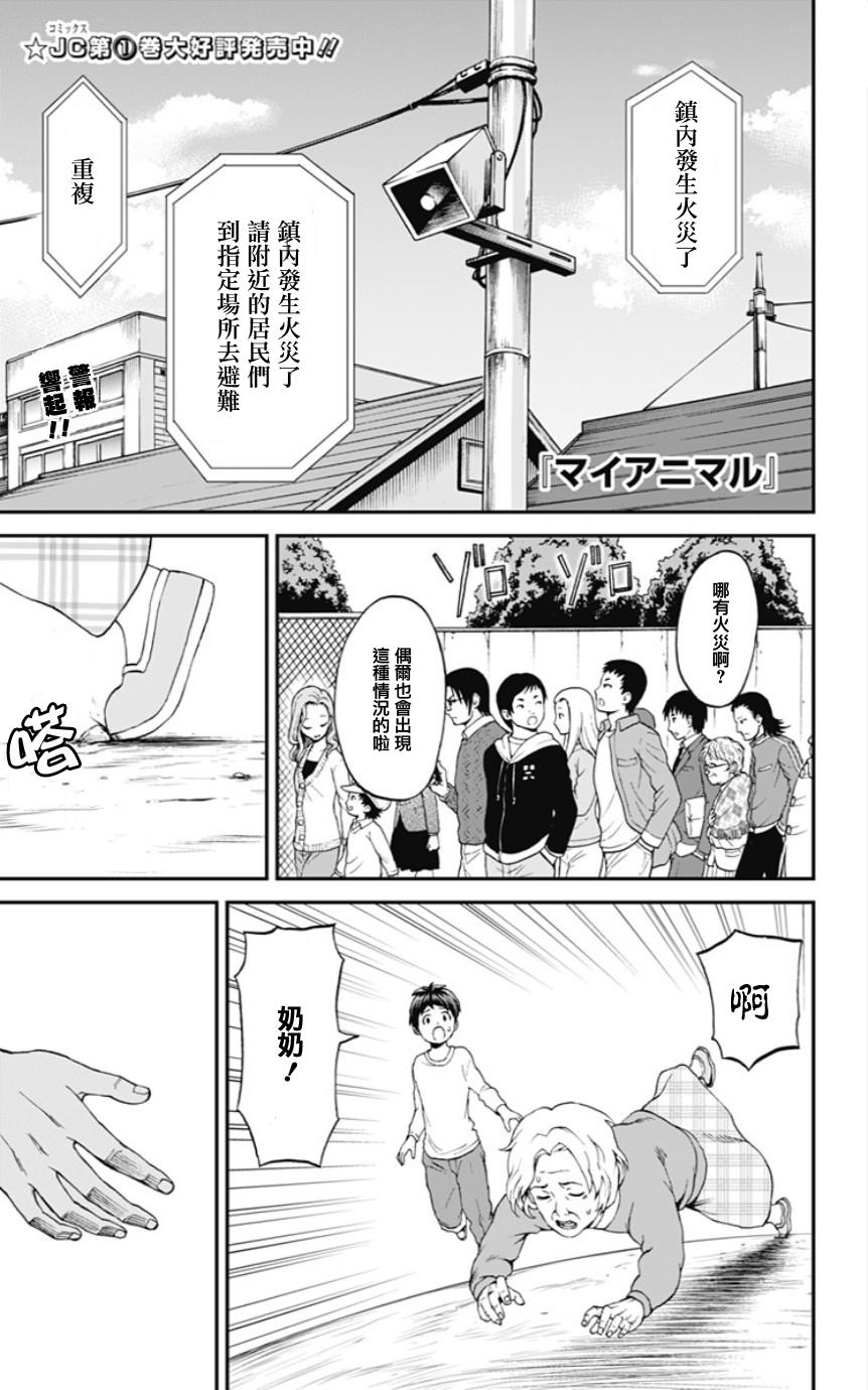 My Animal第23话图