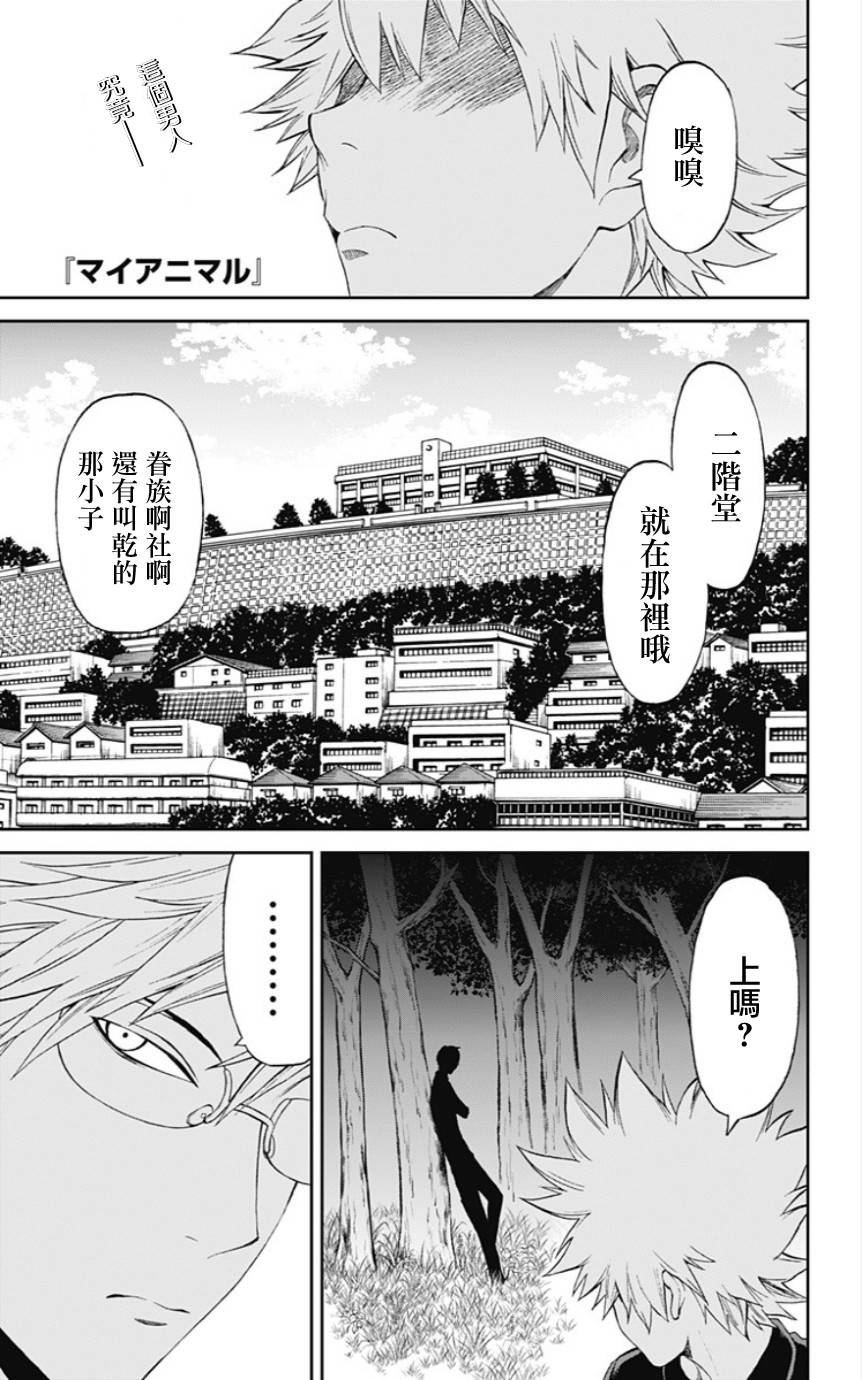 My Animal第31话图