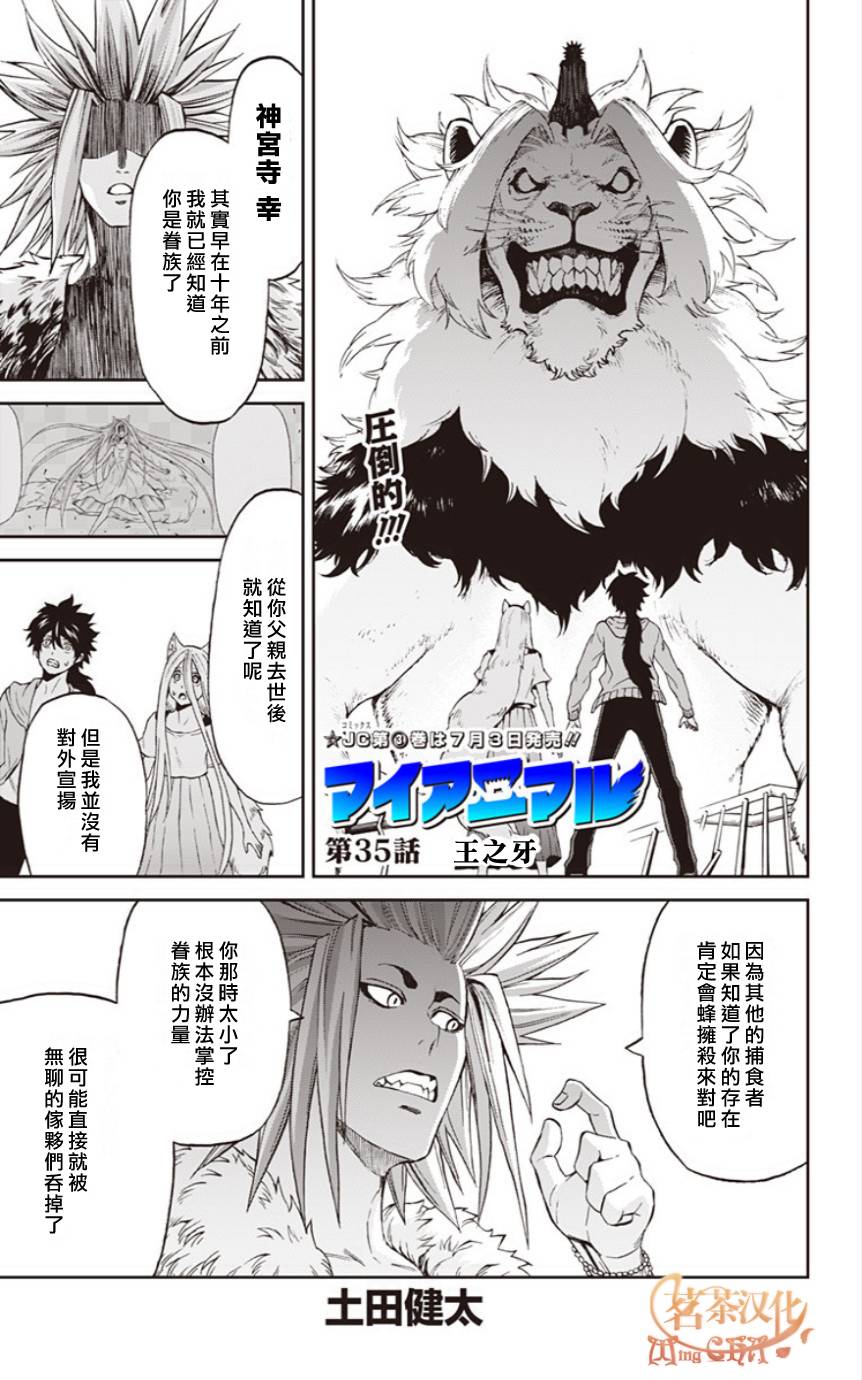 My Animal第35话图