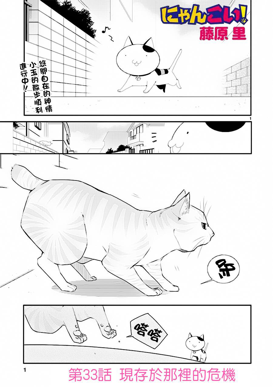 猫愿三角恋第33话图