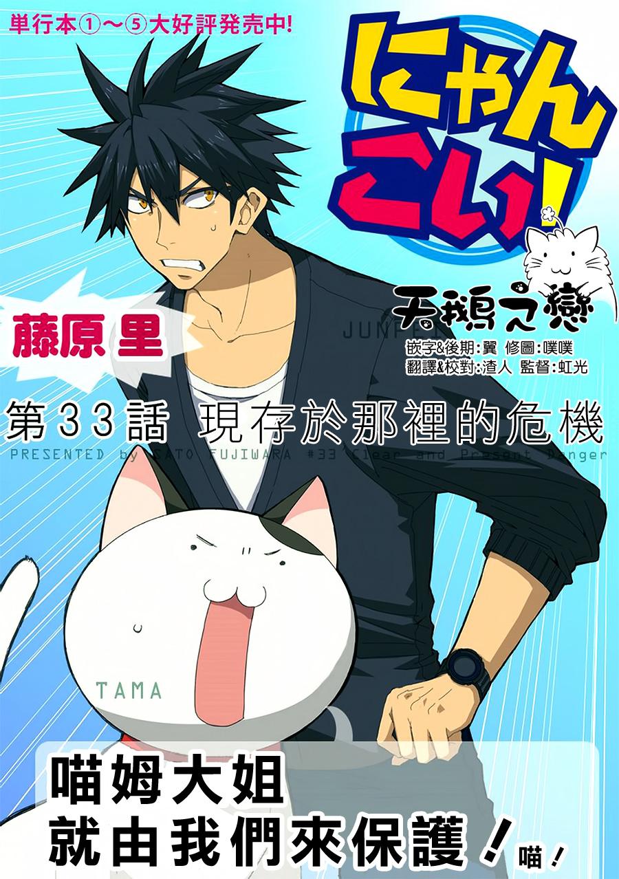 猫愿三角恋第33话图