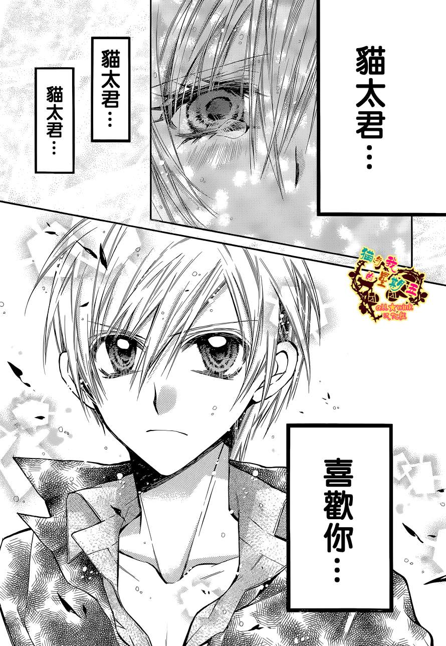 猫与我的星期五第11话图