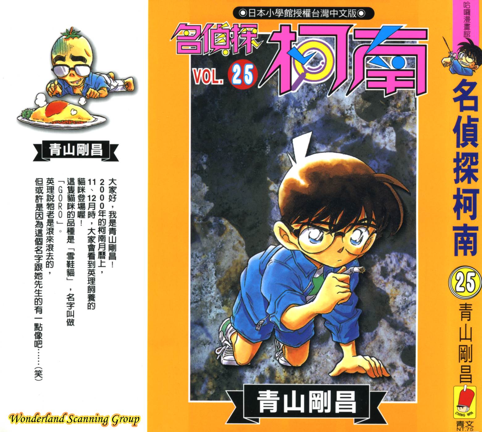 名侦探柯南第25卷图