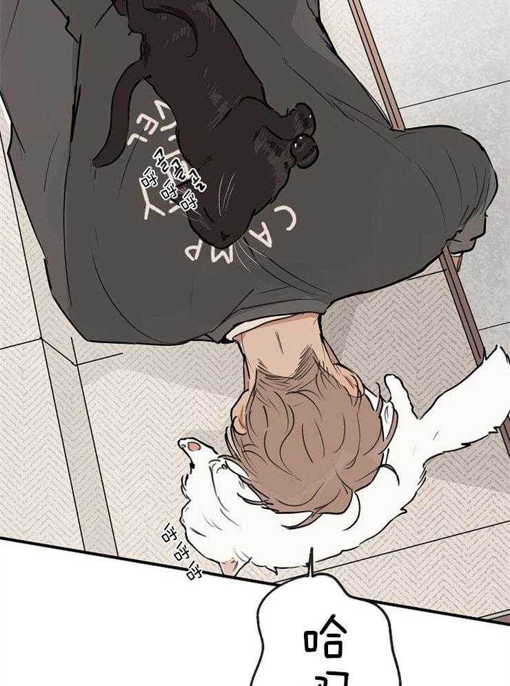 年下你撩够没（共2季）第54话图