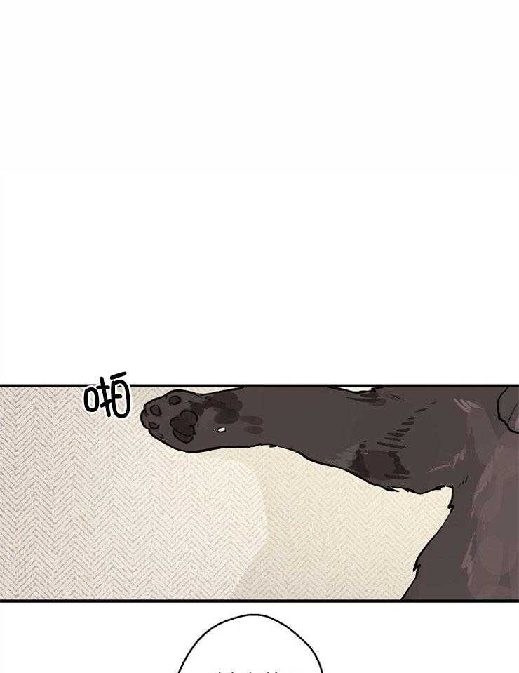 年下你撩够没（共2季）第74话图