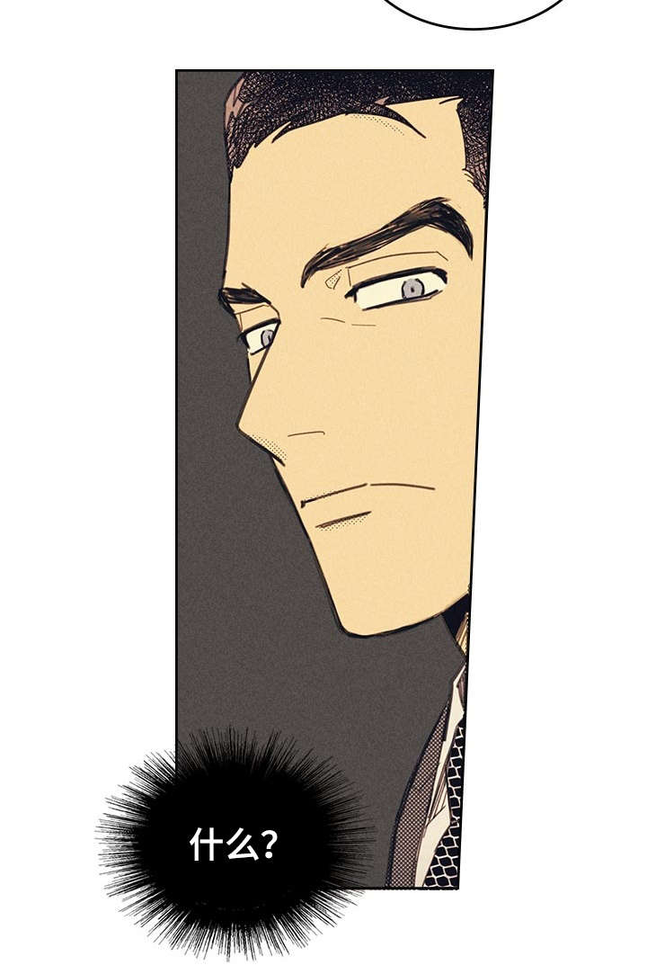 内或外（共3季） 第13话 第5页