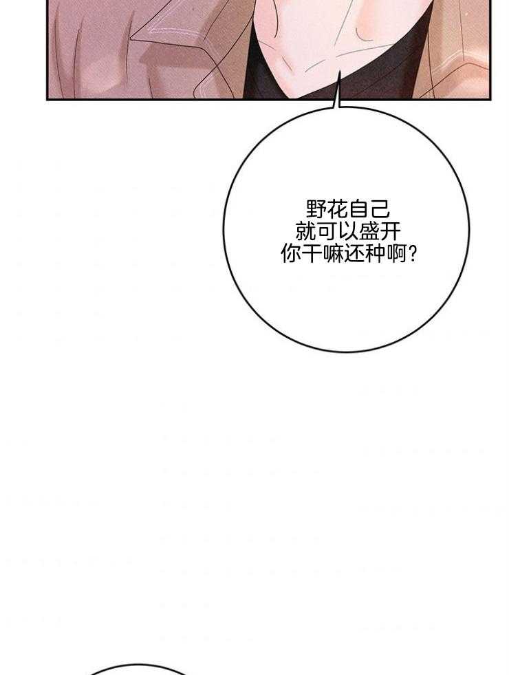 奶凶霸总钓妻手册 第102话 第5页