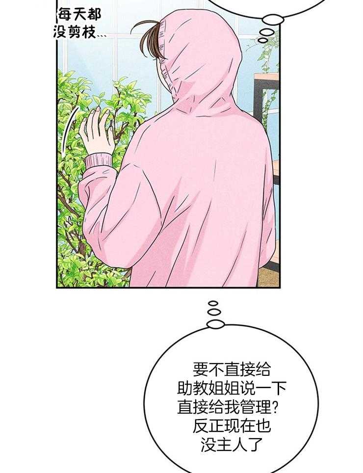 奶凶霸总钓妻手册 第20话 第37页