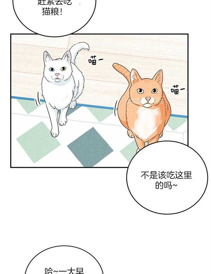 奶凶霸总钓妻手册 第26话 第36页