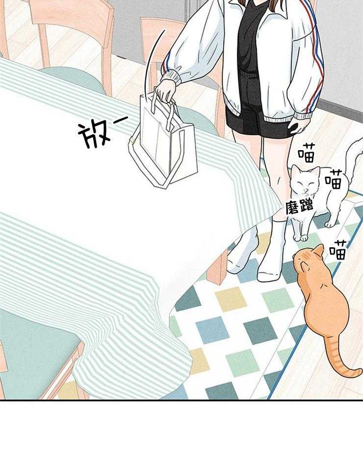 奶凶霸总钓妻手册 第42话 第11页