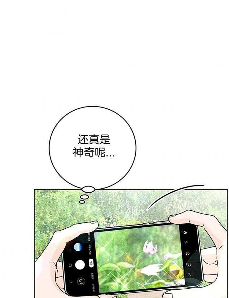 奶凶霸总钓妻手册 第48话 第0页