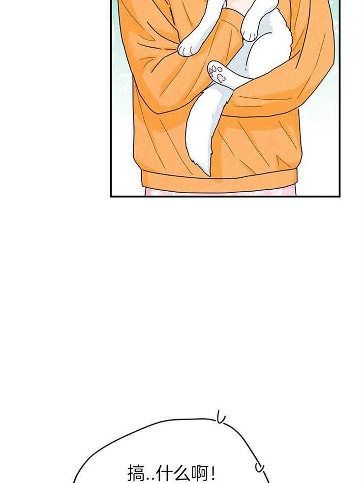 奶凶霸总钓妻手册 第60话 第18页