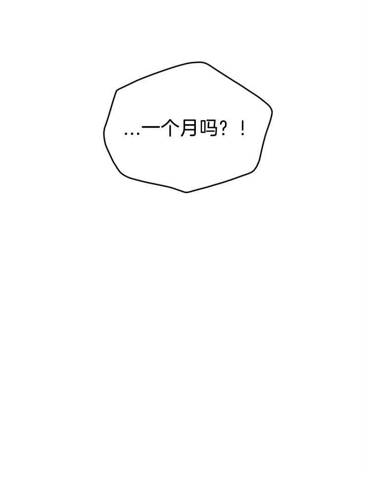 奶凶霸总钓妻手册第64话图