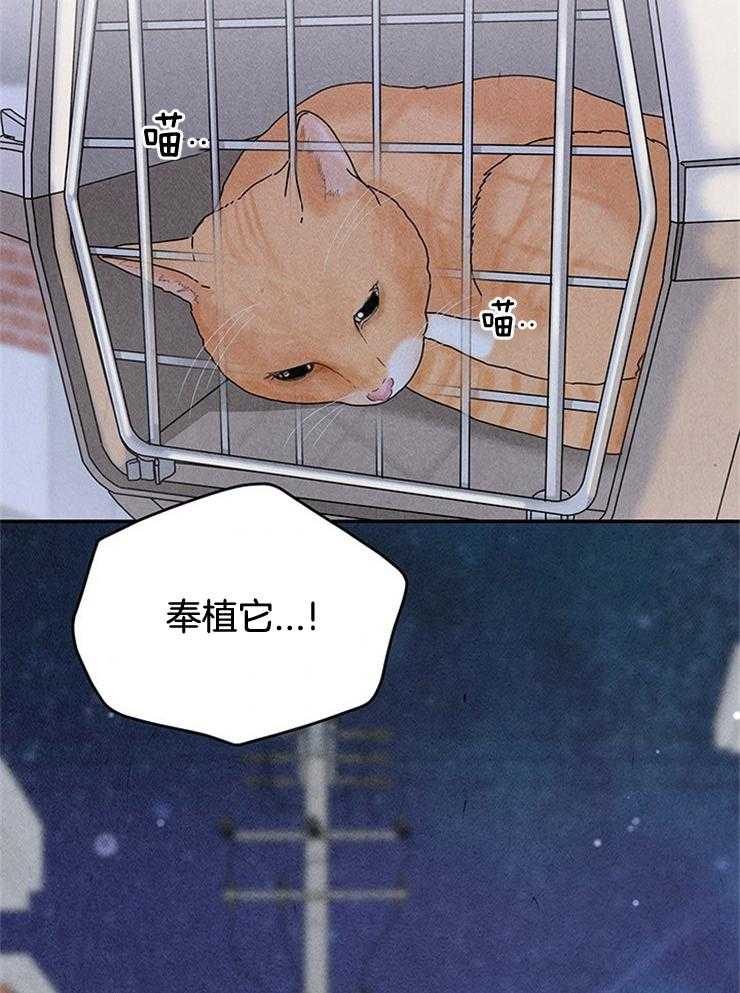 奶凶霸总钓妻手册 第67话 第41页