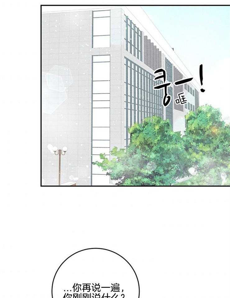 奶凶霸总钓妻手册 第71话 第7页