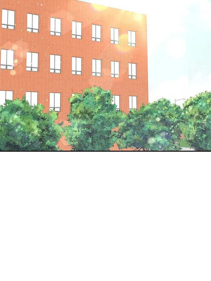 奶凶霸总钓妻手册 第74话 第1页