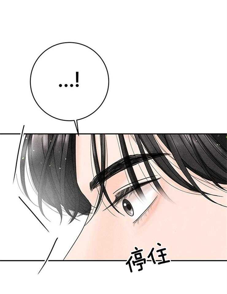 奶凶霸总钓妻手册 第74话 第33页