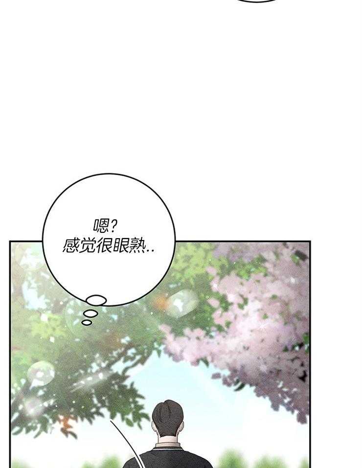 奶凶霸总钓妻手册 第75话 第5页