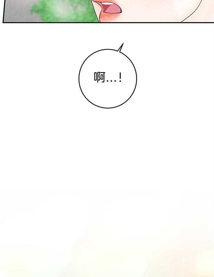 奶凶霸总钓妻手册第80话图