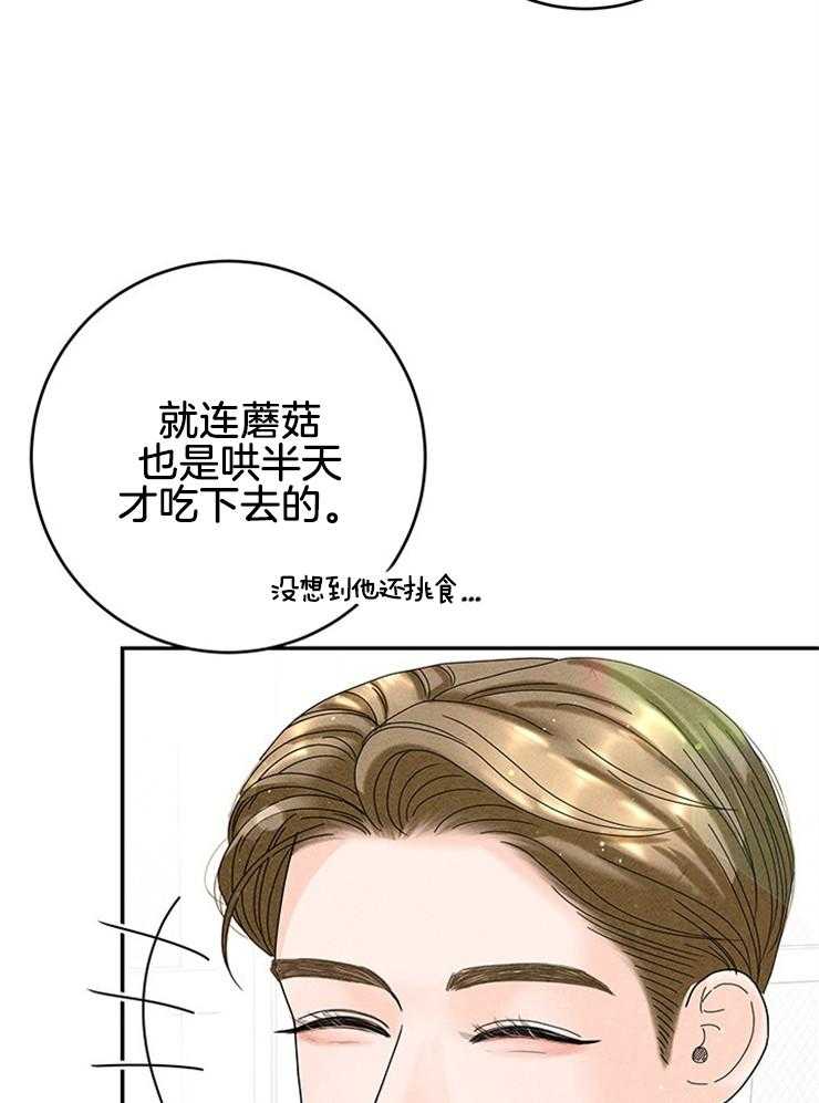 奶凶霸总钓妻手册 第86话 第12页