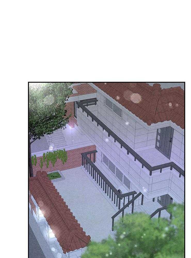 奶凶霸总钓妻手册 第86话 第37页