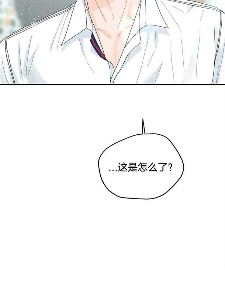 奶凶霸总钓妻手册 第89话 第29页