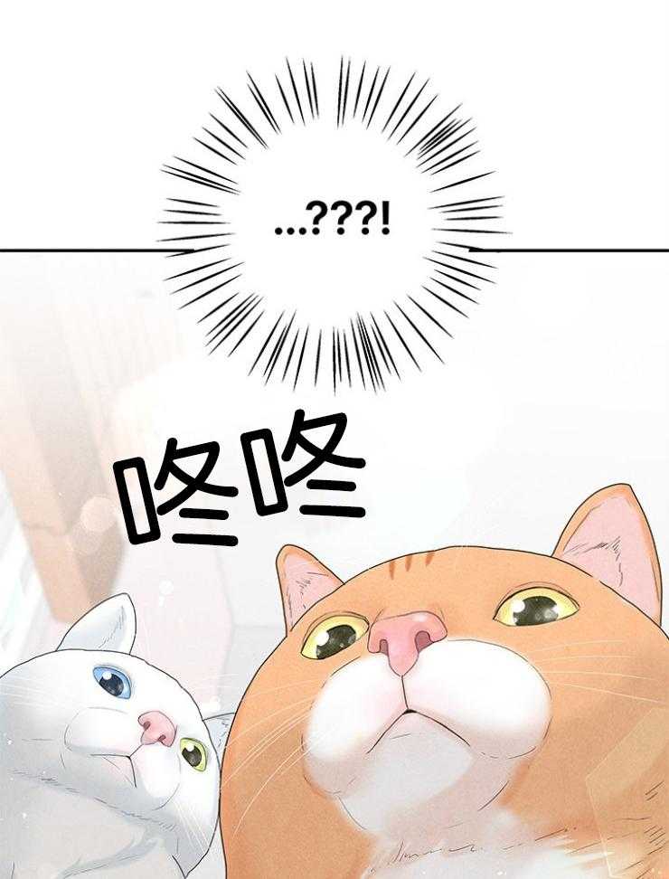 奶凶霸总钓妻手册 第95话 第37页