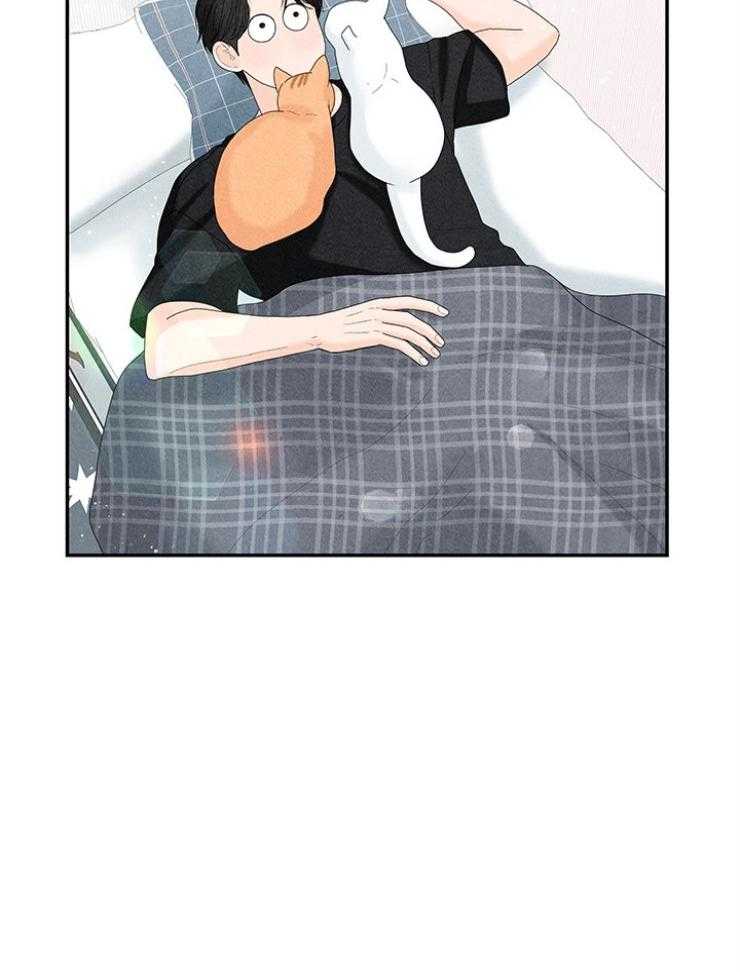 奶凶霸总钓妻手册 第95话 第39页