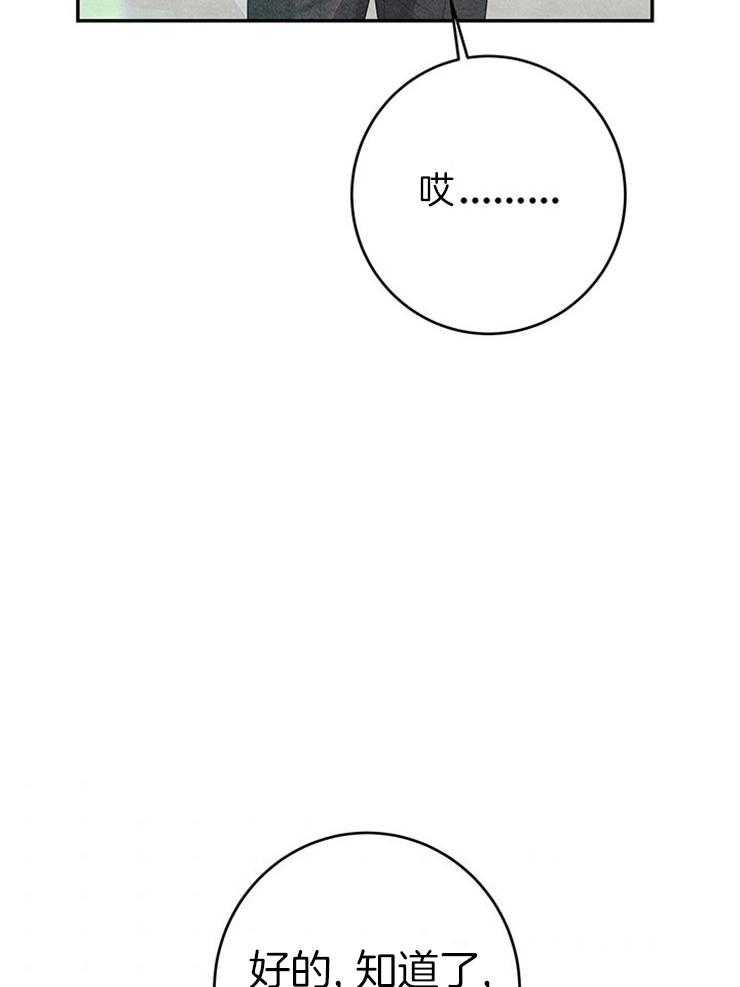 奶凶霸总钓妻手册 第96话 第47页