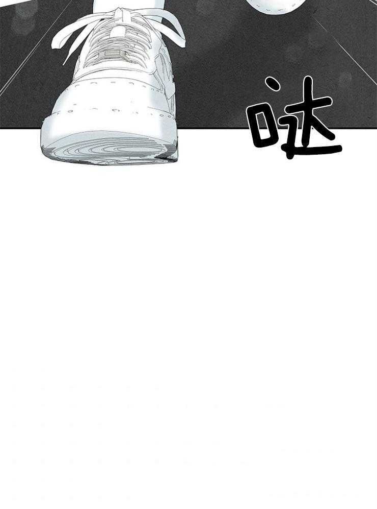 奶凶霸总钓妻手册 第97话 第6页