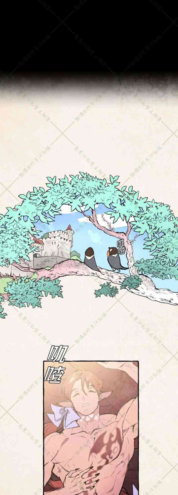 No more prince 5话 第13页