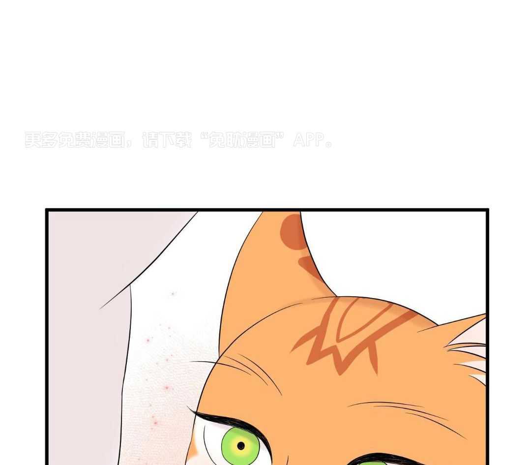 你是不是想赖账第123话图