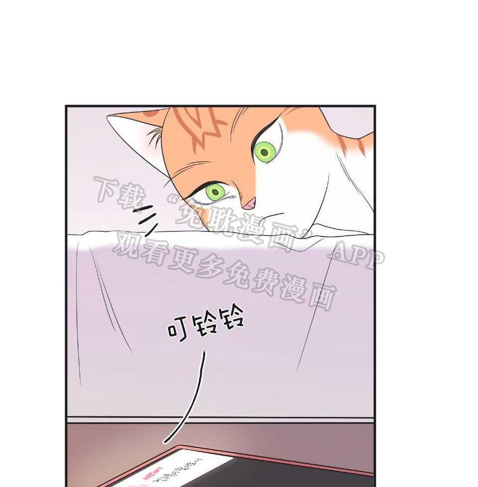 你是不是想赖账第16话图