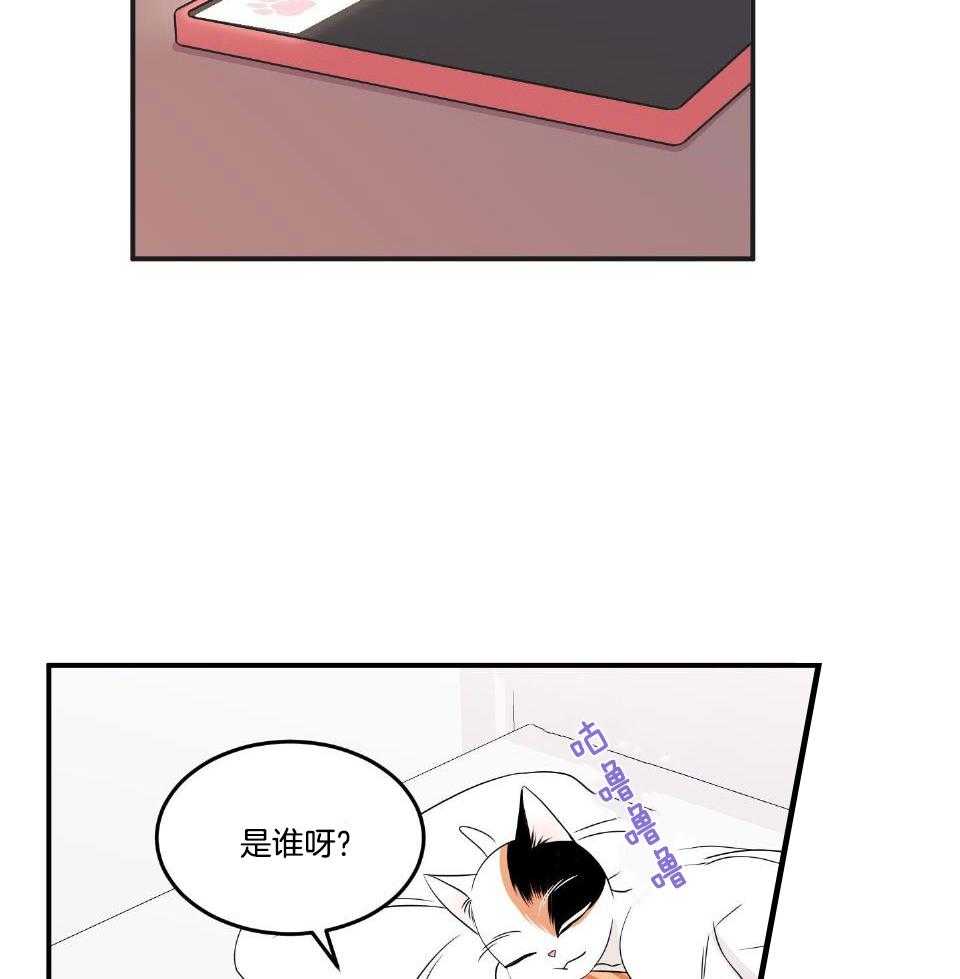 你是不是想赖账第16话图