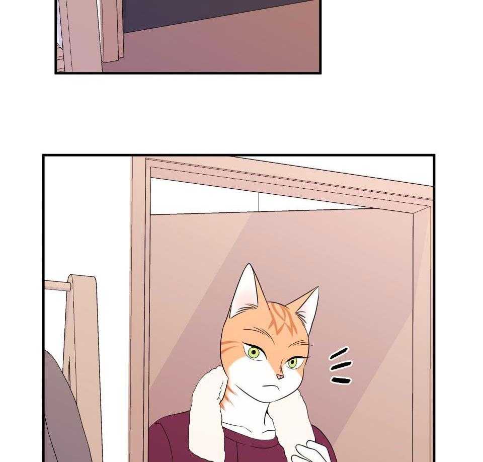 你是不是想赖账第18话图