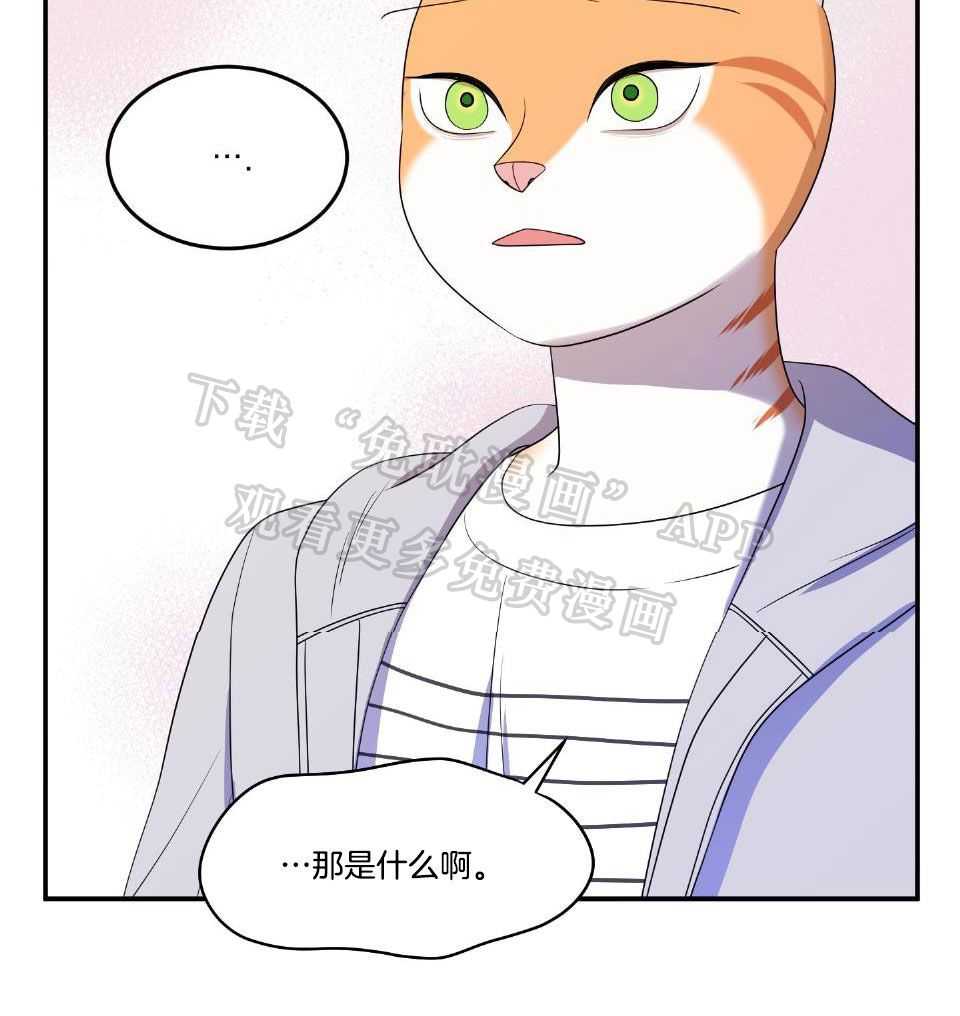 你是不是想赖账第20话图