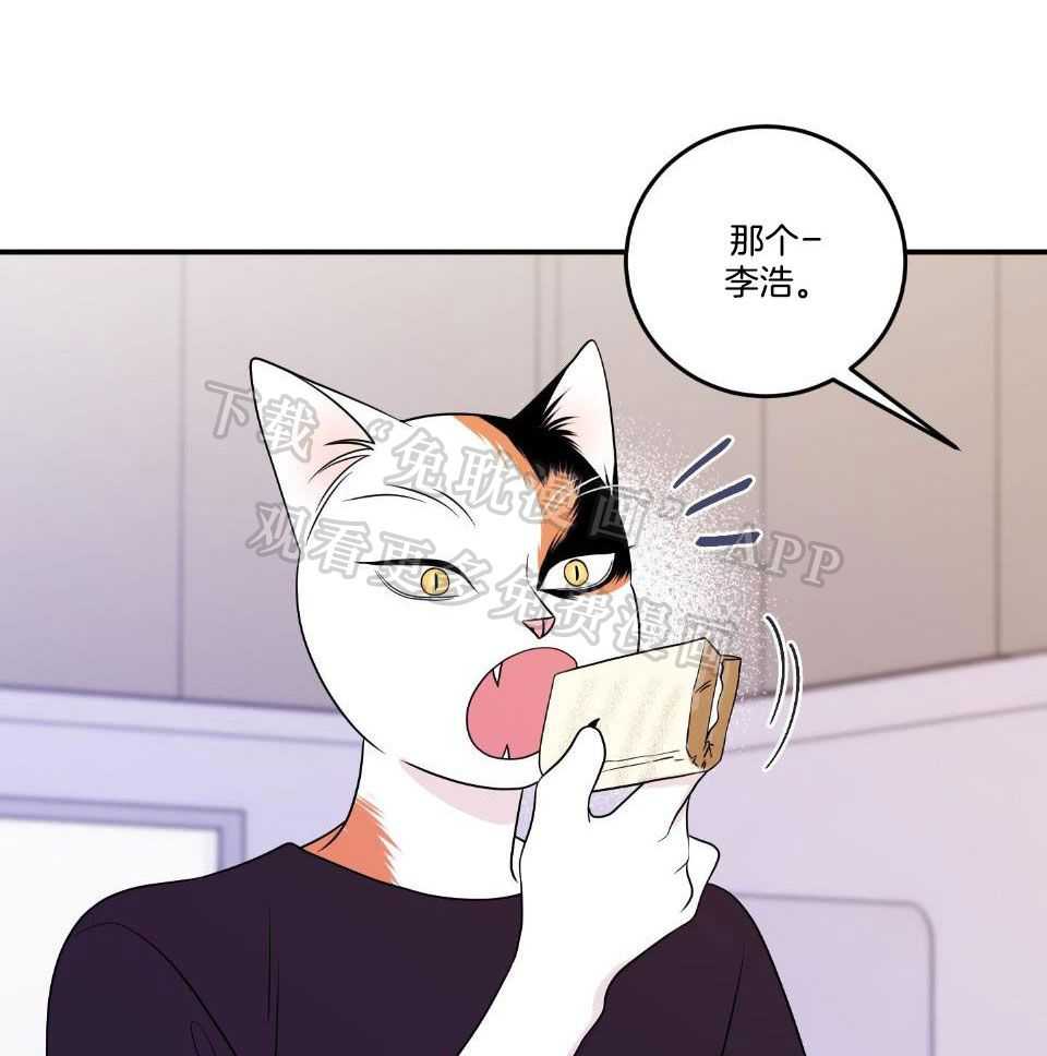 你是不是想赖账第23话图