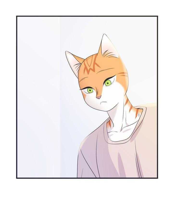 你是不是想赖账第29话图