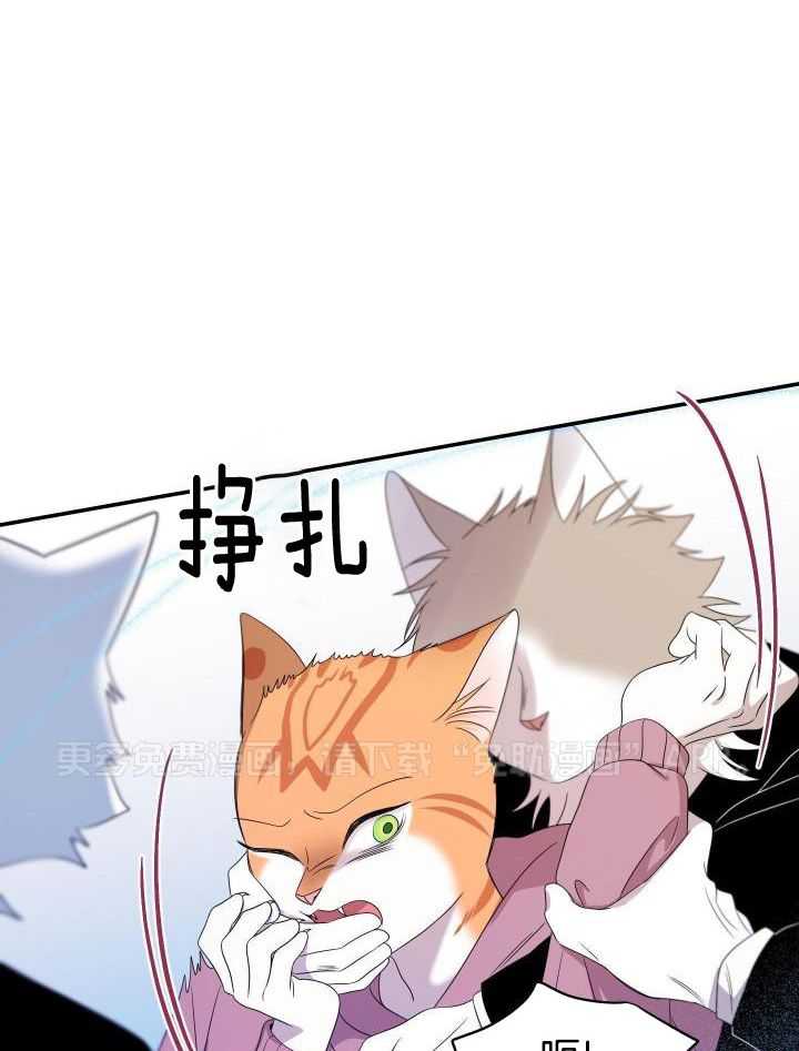 你是不是想赖账第31话图